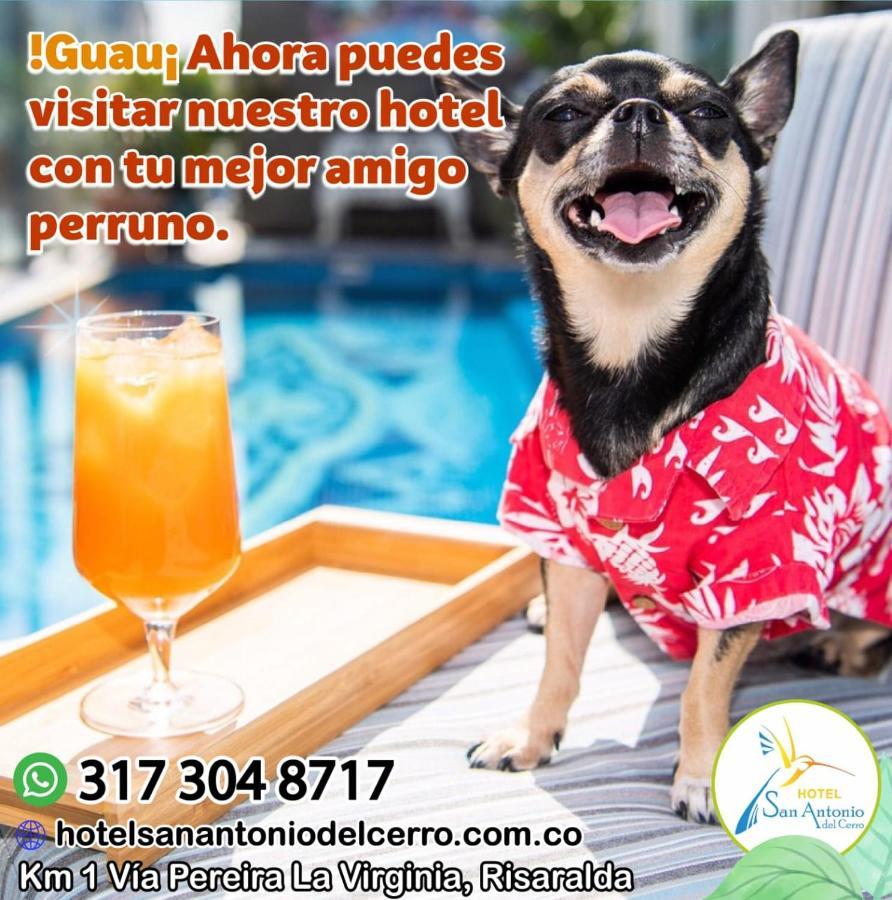 Hotel San Antonio Del Cerro 체리토 외부 사진
